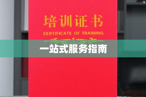 大石桥一站式服务指南