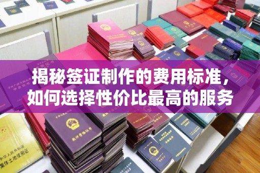大石桥揭秘签证制作的费用标准，如何选择性价比最高的服务？