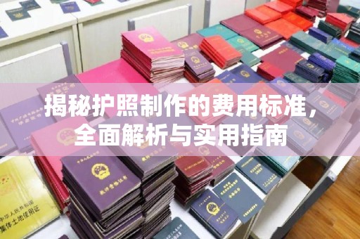大石桥揭秘护照制作的费用标准，全面解析与实用指南
